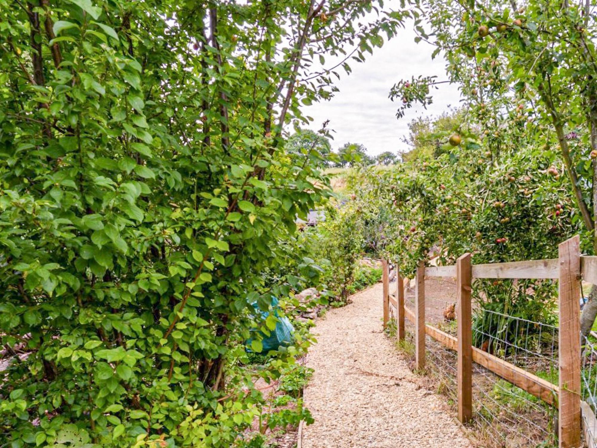 Fig Tree Shepherds Hut Bridport Ngoại thất bức ảnh